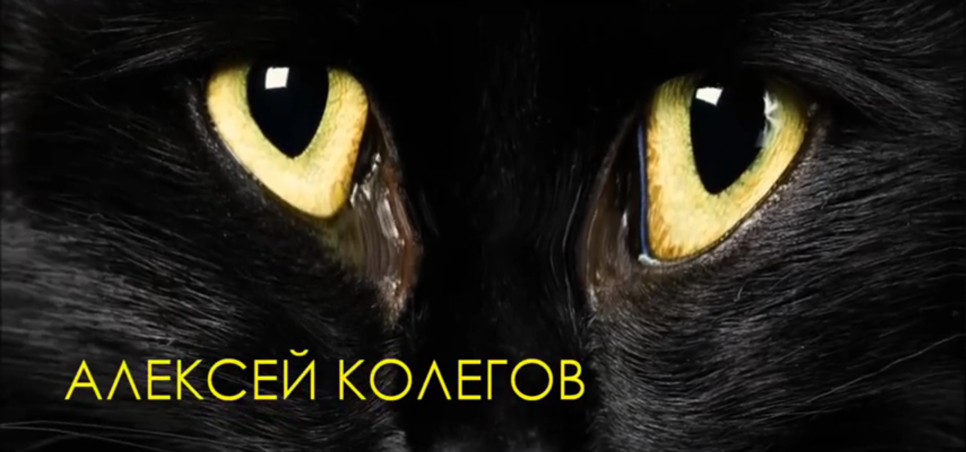 Истина по делу